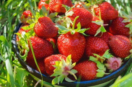 ��� ������������� ������� ������ ���������: ���� �������� ���������