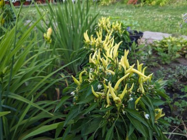 ��� ������ ��������� ����� � ����: ������� � �������