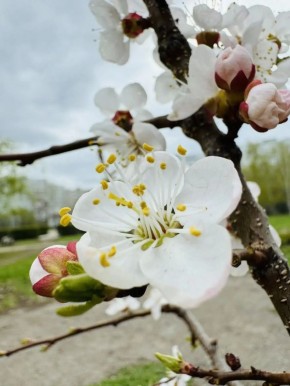 ������ ����, ��������!. �� ��������� 27 ������