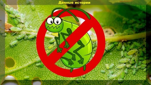 ��� ���������� ���������� � ����: �������� ������ � ����������� ���������