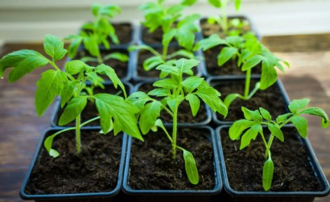 ��� �������� ������ ��� ������ ��������� ������� �������: 4 ��������� �������