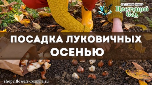 ������� �������� ������� ����������: ������������� � ��������� ��������