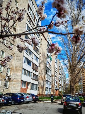 ������ ����, ��������!. �� ��������� 28 ������