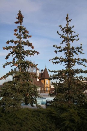 ������ ����, ��������! �� ��������� 29 ������