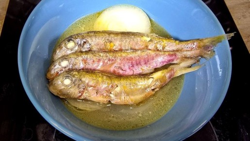 ����� ��-�����������: ������� �������� ���������