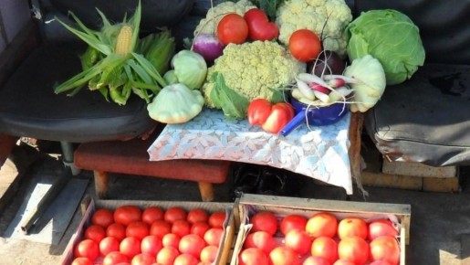 �������� �������� �����: ������ � ������������