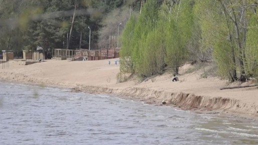 Когда в Тольятти начнут очищать береговую зону от мусора?