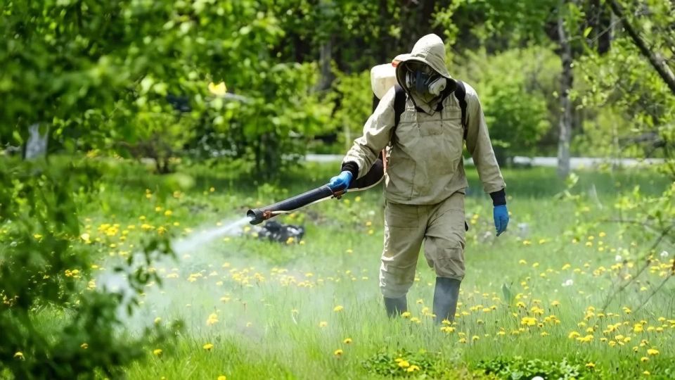В Тольятти обработают от клещей общественные территории