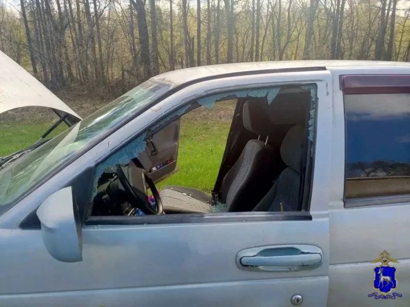 В Самарской области в отношении жителя Тольятти, задержанного госавтоинспекторами за попытку угона автомобиля и кражу личных вещей, возбуждено уголовное дело