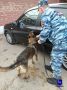 В Тольятти сотрудники Госавтоинспекции задержали подозреваемого в хранении наркотиков