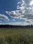 Сегодня в городе — летняя классика: тепло, но с характером