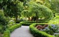 Садовый Центр Green Space: новое имя, новые возможности