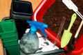Как успешно подготовиться к сезону рассады: ключевые советы для садоводов