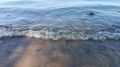 Самарцам рассказали, где Волга прогрелась сильнее всего