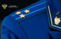 В Самаре Светлану Ладу-Русь (Пеунову)* приговорили к 8 годам