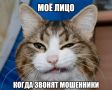 Учитесь! Пенсионер из Тольятти надул мошенников