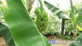 � ���� ������ �������� ������ ������ ������������� �������, ������ � ��������