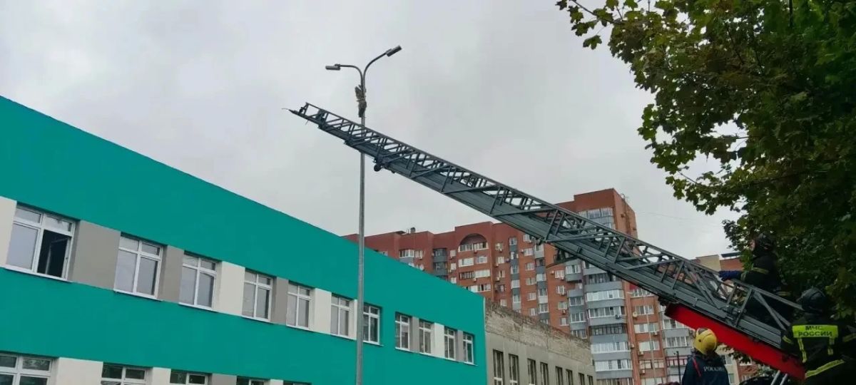 Илья Сухих: Необычный вызов отработали сегодня наши экстренные службы Илья Сухих: Необычный вызов отработали сегодня наши экстренные службы