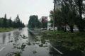 Гроза, ливень и ветер до 20 м/с: Тольятти предупредили о непогоде