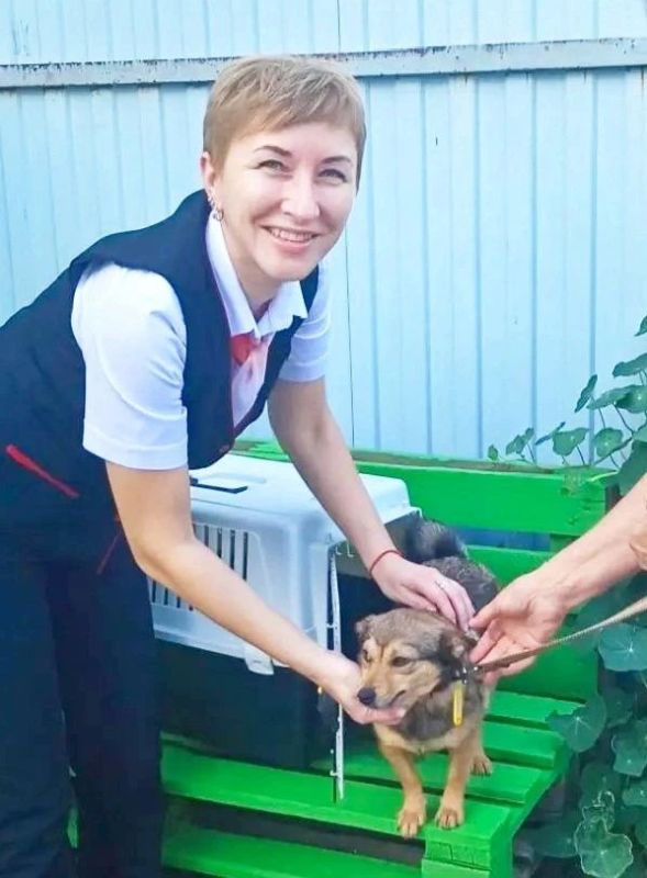 Из Кинеля в Тольятти попутным транспортом Из Кинеля в Тольятти попутным транспортом
