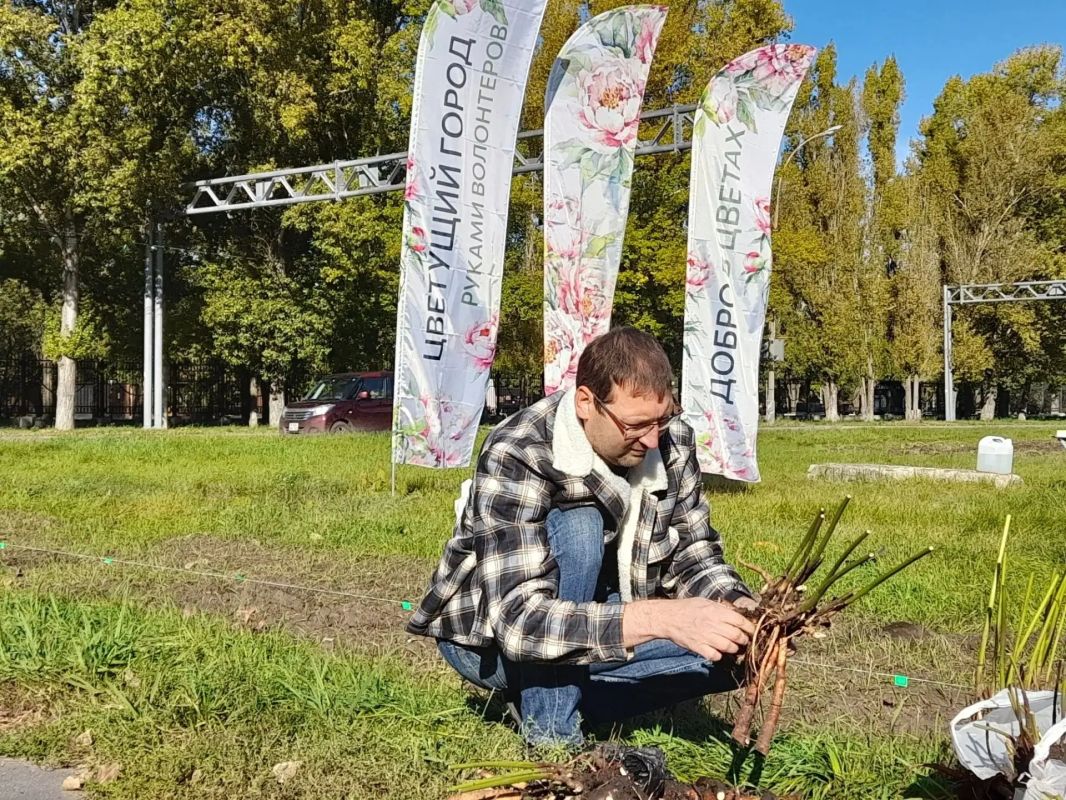 Пионовый рай! 200 пионов высадили сегодня на улице Юбилейной Пионовый рай! 200 пионов высадили сегодня на улице Юбилейной