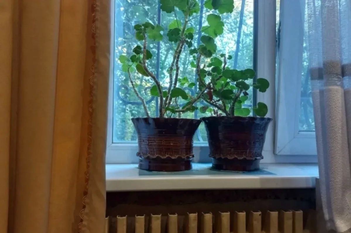 Тольяттинцы отдают за аренду «однушки» больше четверти своей зарплаты - 26%