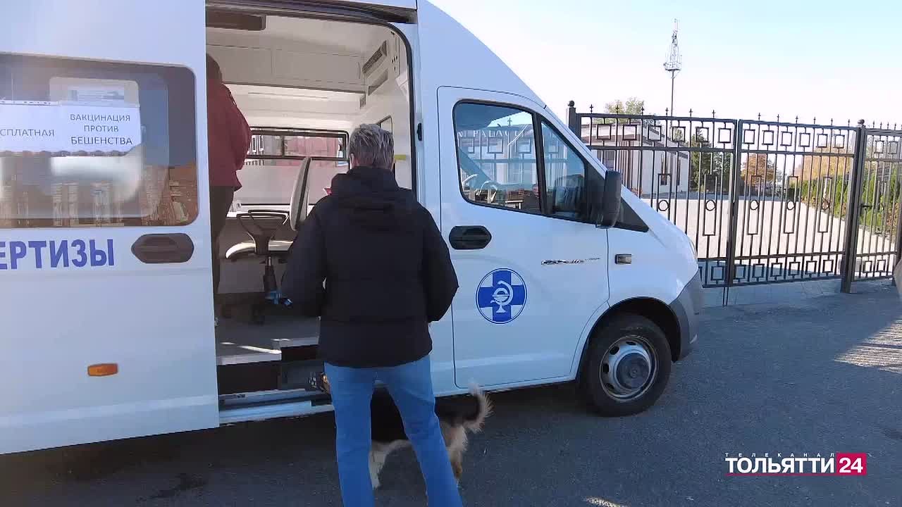 Сделай прививку – спаси питомца! В Тольятти работает мобильный пункт вакцинации домашних животных