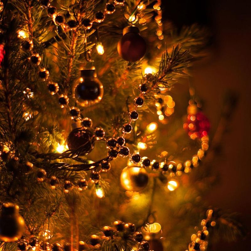 Как выбрать и ухаживать за елкой: советы, которые сделают ваш Новый год незабываемым