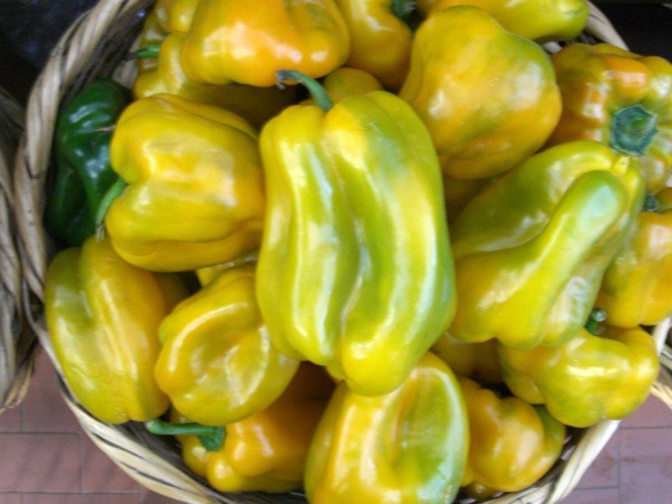 Эффективная защита перцев от вредителей всего за одно опрыскивание в июне