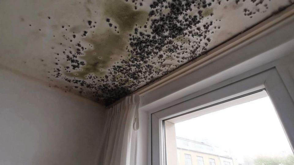 ��� ���������� � �������� � ��������: ���� � �������� � ����