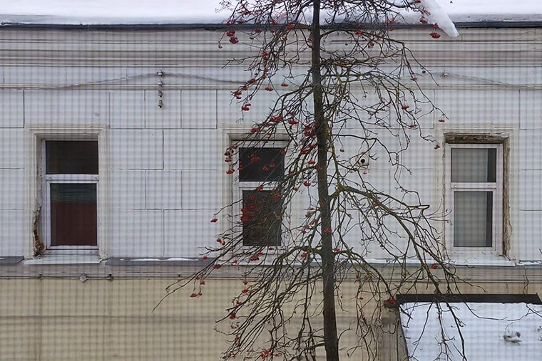 Как защитить свой фасад от неприятных сюрпризов: опыт соседей и советы юристов