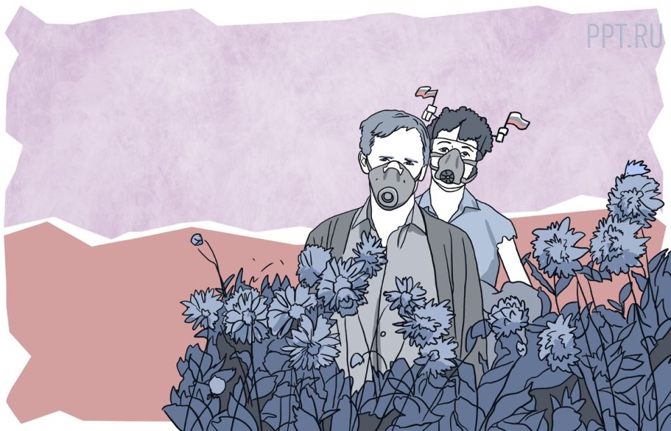 Сорняк, способный лишить дачу: узнайте, как защитить свой участок