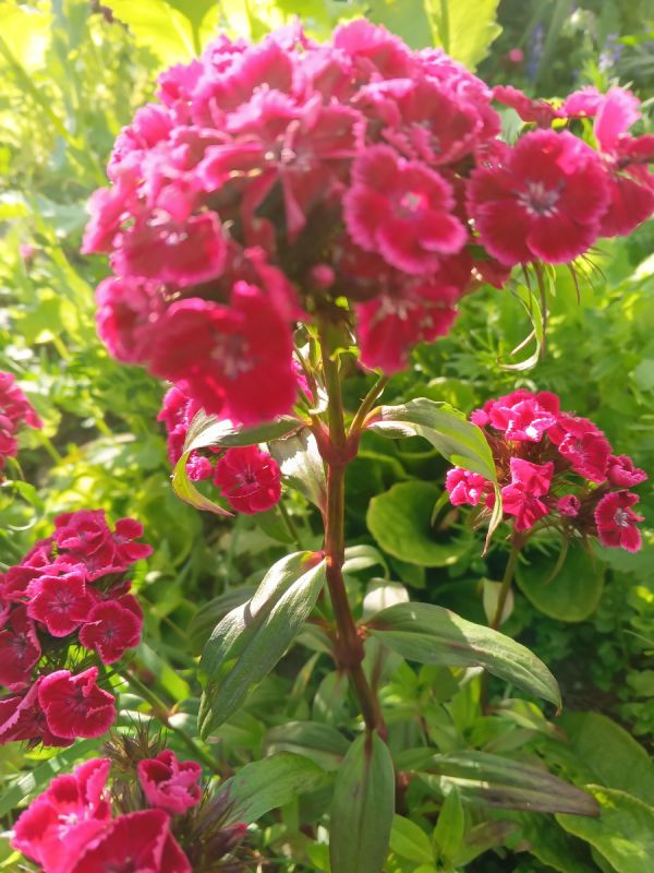 Секреты красоты и уверенности: как полюбить свои морщины и зрелость