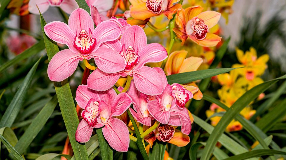 ���������: ������� ��������� ����� �� ��������� ������� � ����� ����