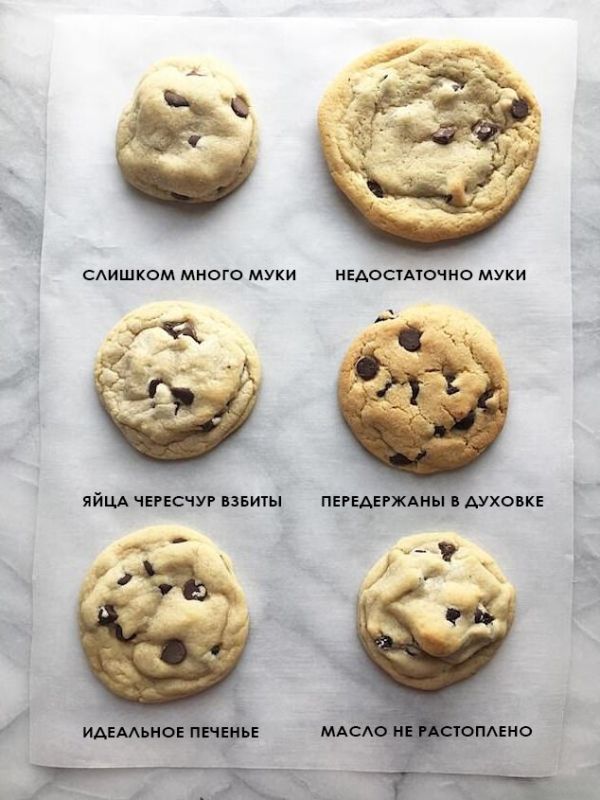 ������� � ����� ������������: �� ������������� �� ��������