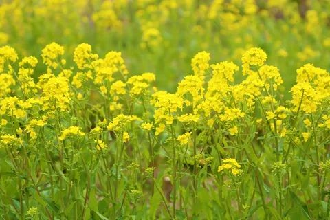 �������: ��� ���������� ������� ����� ���������� ��������������