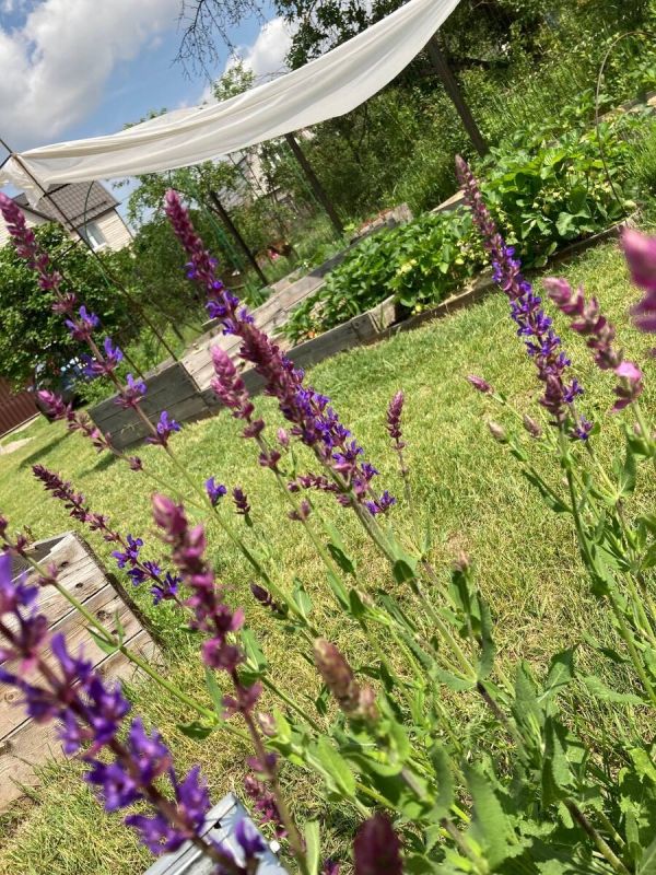 ����������� ����� � ������� �������