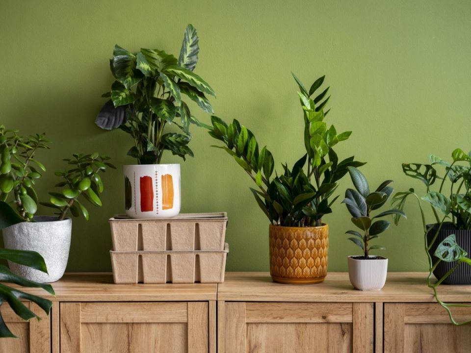 ���������� ��������: ��� �������� �������� � ����� �������