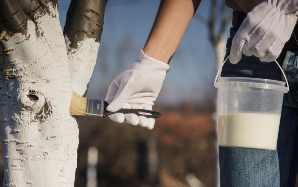 ������� ������� ��������: ������ ������� � ����������� ������