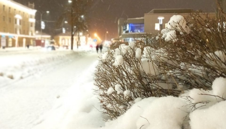 ������� ��������� ������� ���������� ������� �������