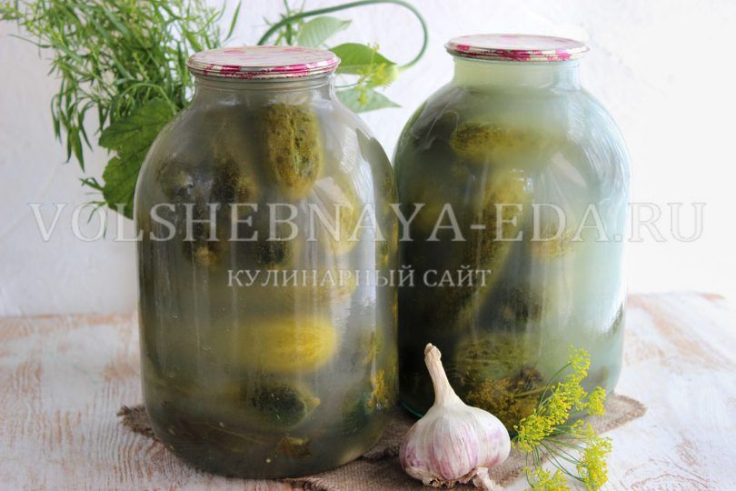 ��� ����� ��������� ������ � ��� �� ��������� ����������������