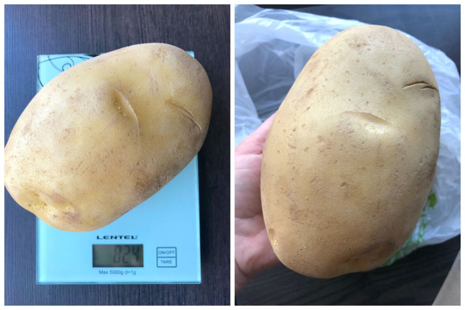 ���������, ������������� �������: ������� ����������� ������