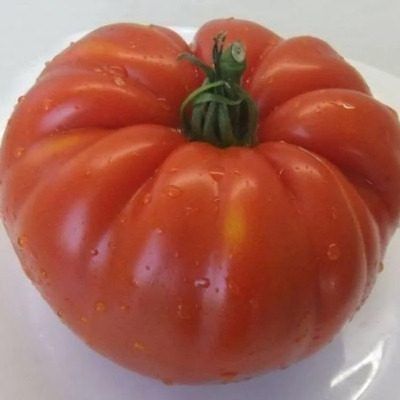 ����� �������: ���������� ������������� ���� ��� ��������� ������