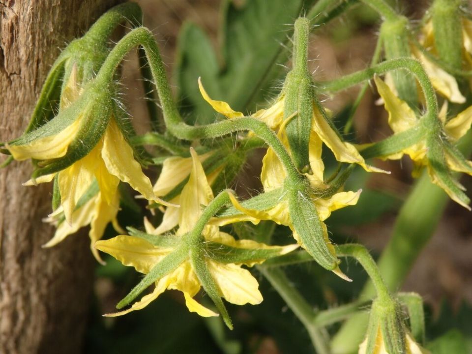 ��� ���������� � ��������� ������ � ������� � ��������� ������