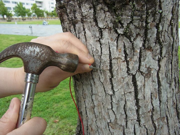 ������ � ������ � ���� � ������������: ��������� ���������� ������