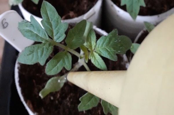 ��� ��������� ������� ������� ������� ��� �������� ������