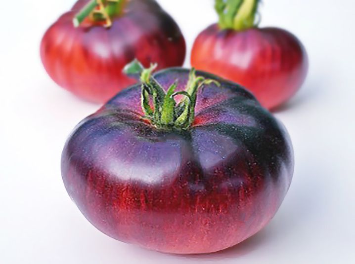 ����������� ������: ��� �������� ������������ � ��������� �������