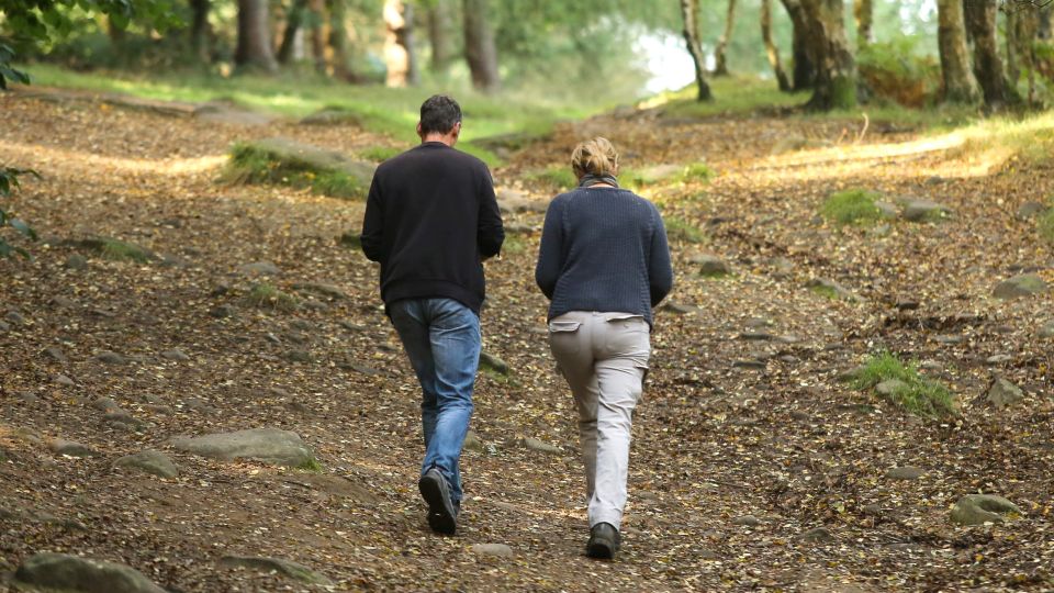 �������� ���������, ��� ����� ����������� ��� ������ ��������