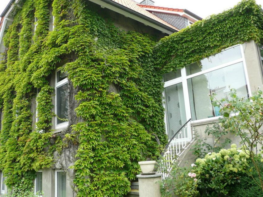 ����������� ������, ������� ����� �������� ��� ���