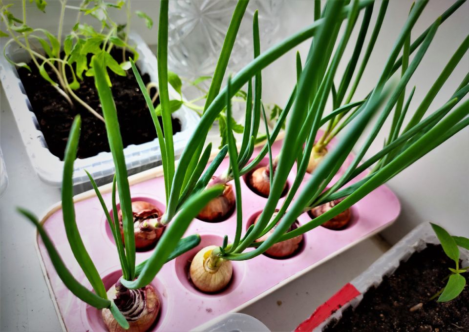 ������ �� ����: ��� ��������� ������ ������ � ����� � ������